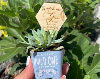 Watch me me grow succulent plant tags, personalized favor tags, baby shower favors, engraved plant tags