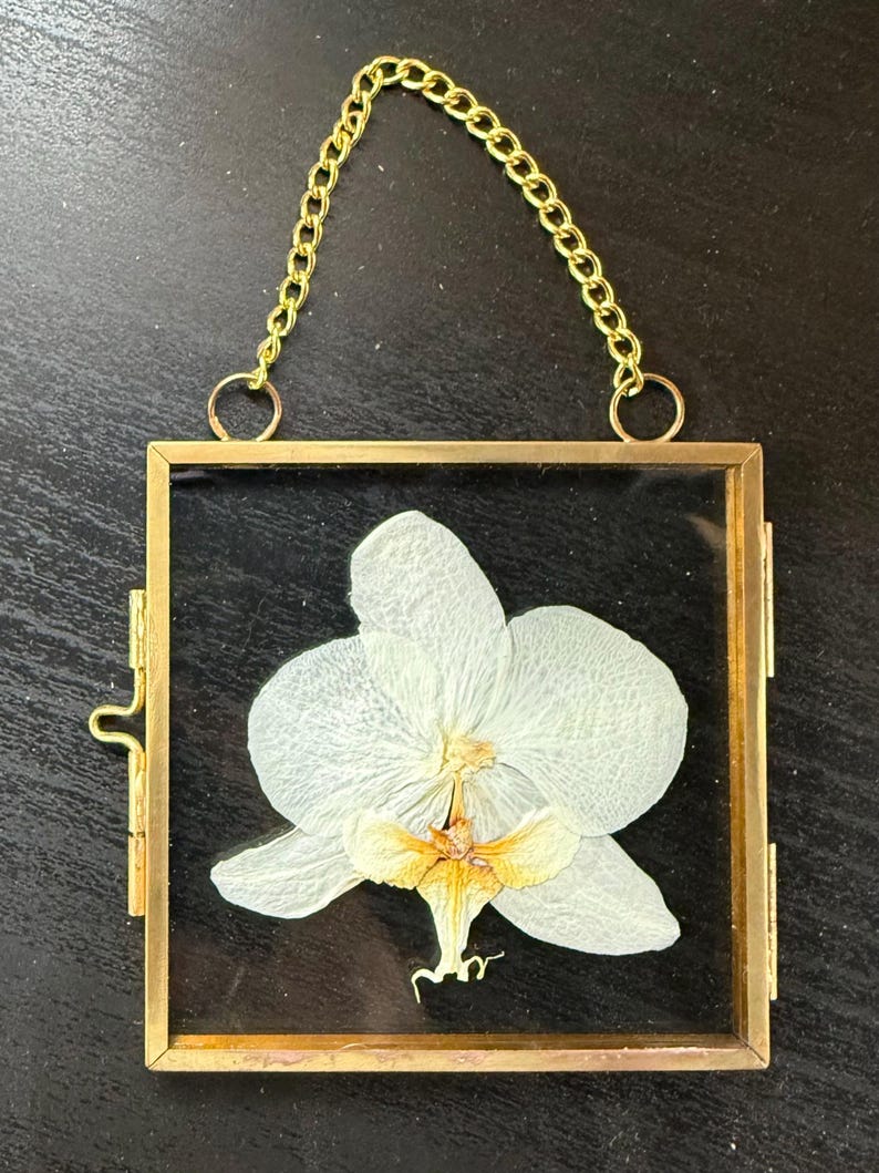 May include: A square glass frame with a thin gold metal border containing a single pressed white orchid flower with a yellow and orange center. The frame features a gold metal chain attached to the top for hanging and a side latch closure.