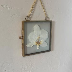 May include: A square, gold-toned metal frame containing a single pressed white orchid flower. The frame features a hinged side closure and is suspended by a gold-colored metal chain attached to two circular rings at the top of the frame.