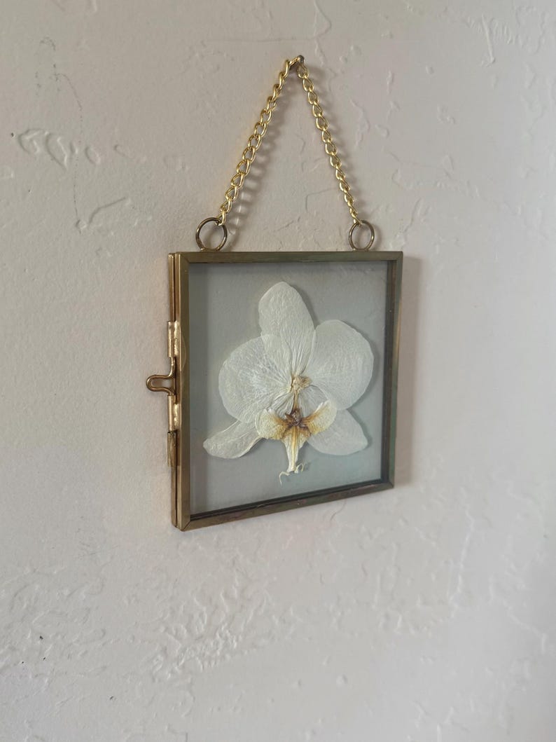 May include: A square, gold-toned metal frame containing a single pressed white orchid flower. The frame features a hinged side closure and is suspended by a gold-colored metal chain attached to two circular rings at the top of the frame.