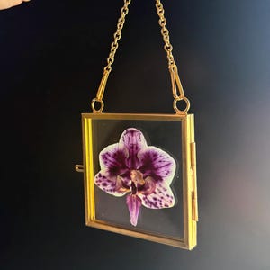 May include: A square, gold-toned metal frame with clear glass panels containing a single pressed orchid flower. The orchid features white petals with deep purple veining and spots. The frame is suspended by a matching gold-toned metal chain.