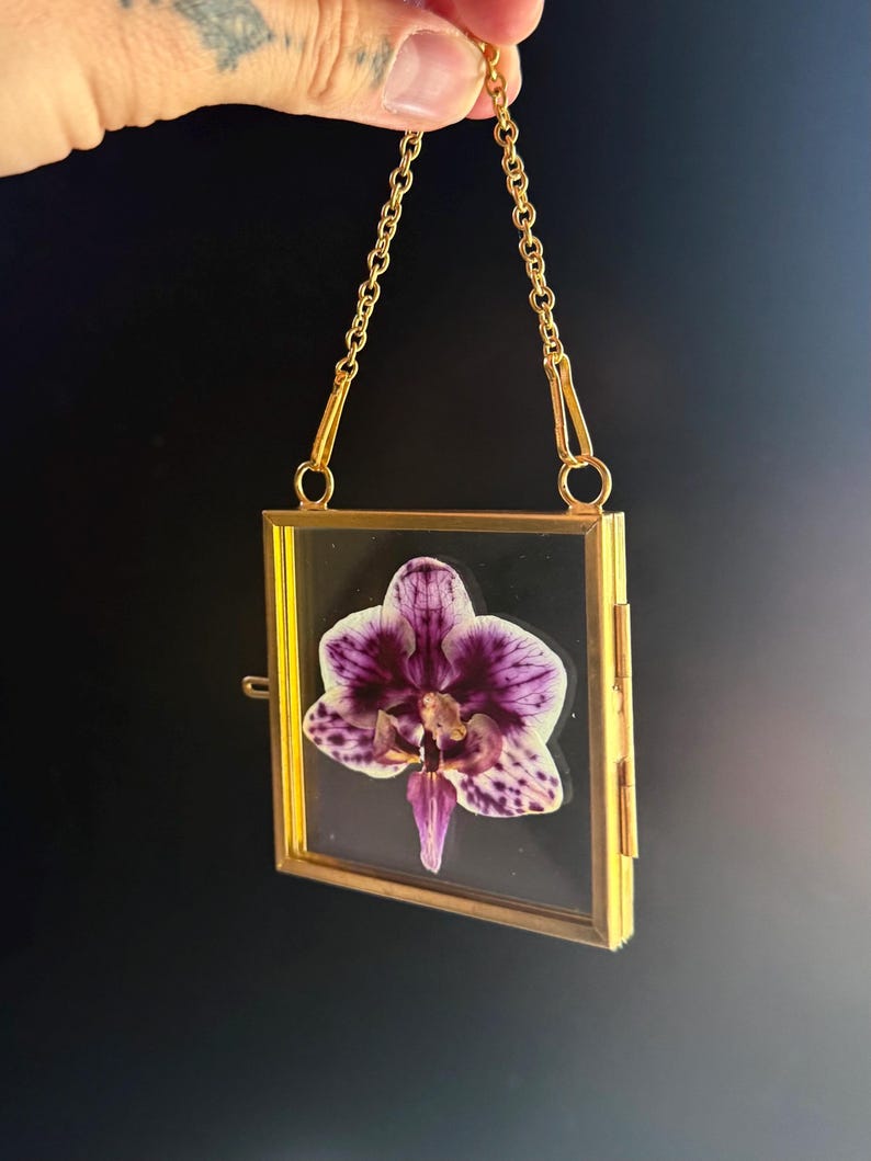 May include: A square, gold-toned metal frame with clear glass panels containing a single pressed orchid flower. The orchid features white petals with deep purple veining and spots. The frame is suspended by a matching gold-toned metal chain.