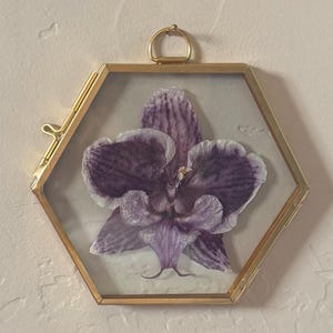 May include: A pressed purple orchid flower encased within a hexagonal glass frame with a thin gold-toned metal border. The frame features a small metal loop at the top for hanging, showcasing the delicate, veined petals of the dried flower.