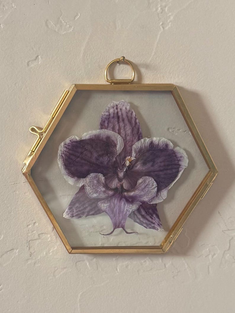 May include: A pressed purple orchid flower encased within a hexagonal glass frame with a thin gold-toned metal border. The frame features a small metal loop at the top for hanging, showcasing the delicate, veined petals of the dried flower.
