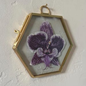 May include: A pressed purple and white orchid flower encased within a hexagonal glass frame with a thin gold-toned metal border. The frame features a small metal loop at the top for hanging and a side latch mechanism to secure the two glass panes together.