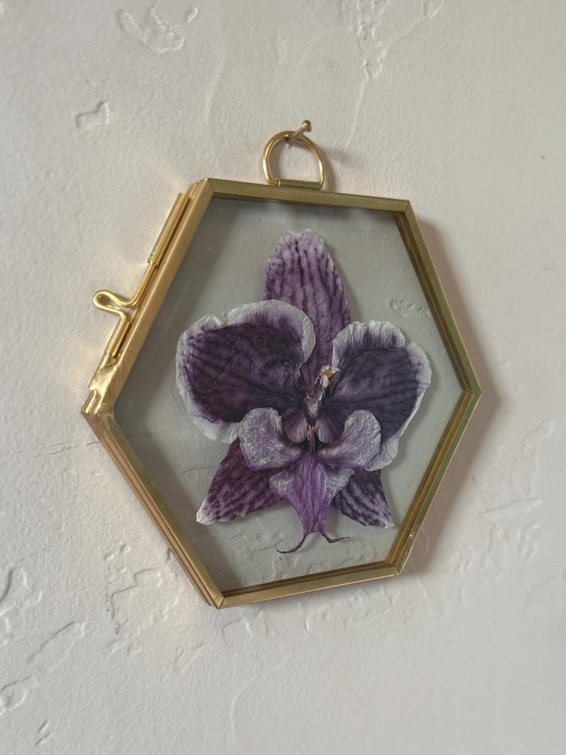 May include: A pressed purple and white orchid flower encased within a hexagonal glass frame with a thin gold-toned metal border. The frame features a small metal loop at the top for hanging and a side latch mechanism to secure the two glass panes together.