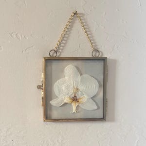 May include: A square, brass-toned metal frame containing a single pressed white orchid flower with a pale yellow and brown center. The frame features a hinged side closure and is suspended by a gold-toned metal chain attached to two rings.