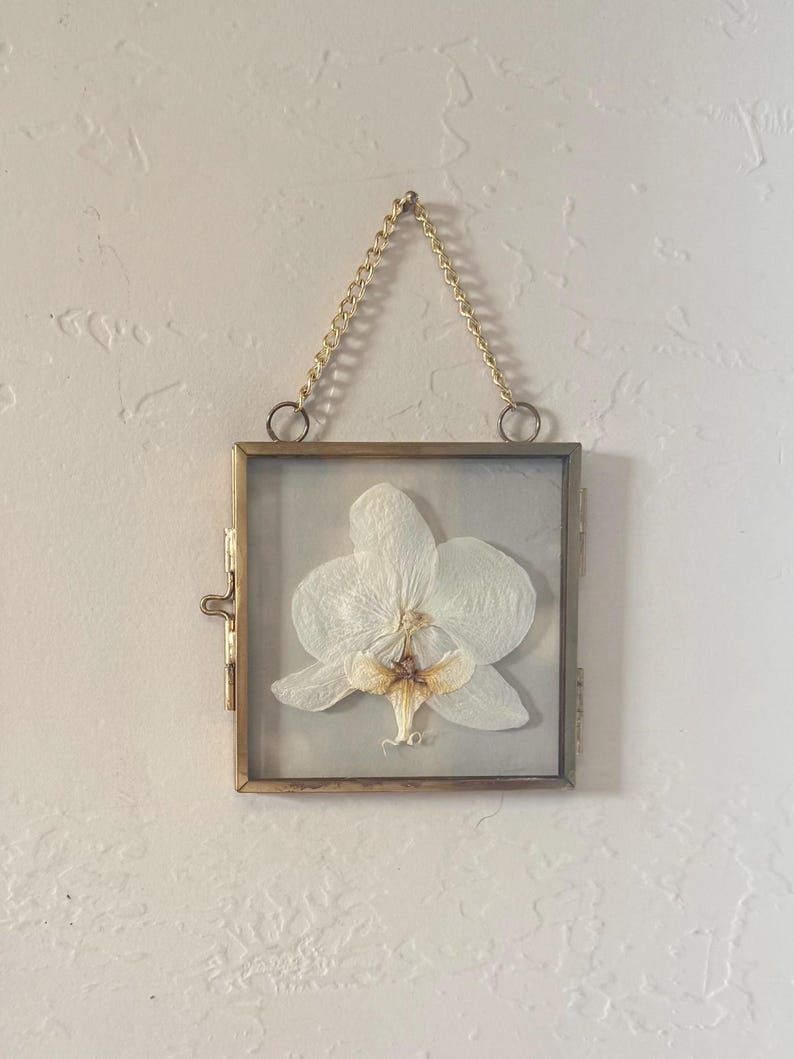 May include: A square, brass-toned metal frame containing a single pressed white orchid flower with a pale yellow and brown center. The frame features a hinged side closure and is suspended by a gold-toned metal chain attached to two rings.