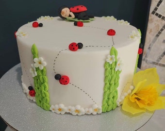 Lady Bug Cake Topper / Little Lady Bug Cake Topper / Lady Bug Birthday / Lady Bug First Birthday / Spring Birthday Decor