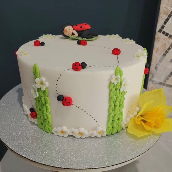 Lady Bug Cake Topper - Etsy
