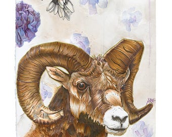 Quest for the Golden Fleece