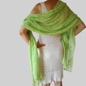 Embroidered Green Chiffon Shawl hangs loosely on the model's back