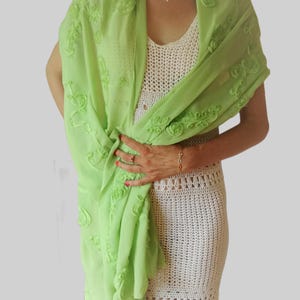 Embroidered Green Chiffon Shawl on model's shoulders