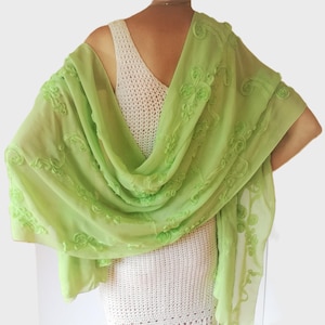 Embroidered Green Chiffon Shawl on the model's back