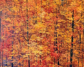 Fine Art Print- Autumn’s Echo