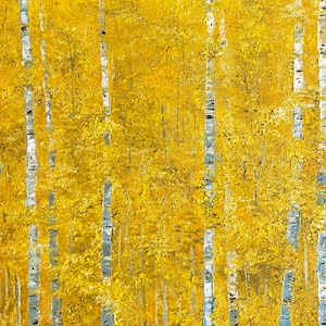 Fine Art Print- Autumn Aspens