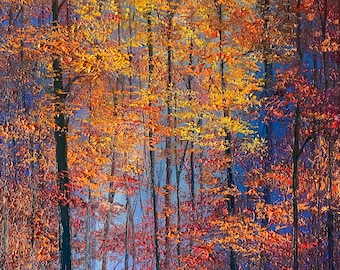 Fine Art Print- Forest of Gold