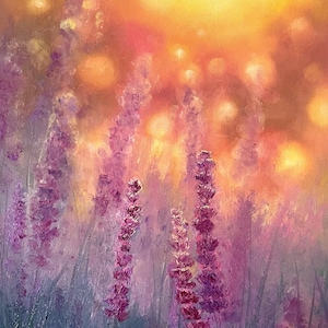 Lavender Haze