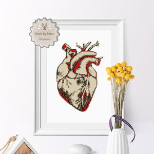 Heart Cross Stitch Pattern, Anatomy Modern Cross Stitch Instant Download,  Anatomical Heart Modern Embroidery Pattern Point de Croix