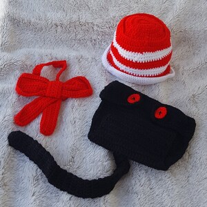 newborn cat in the hat costume