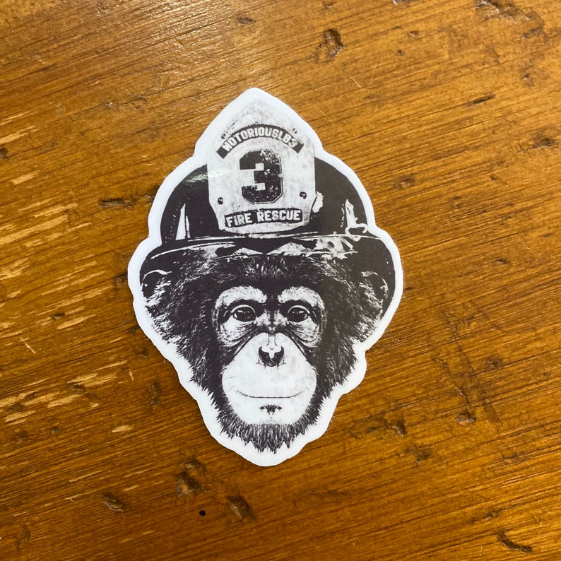 Hose Monkey Vinyl Sticker Etsy