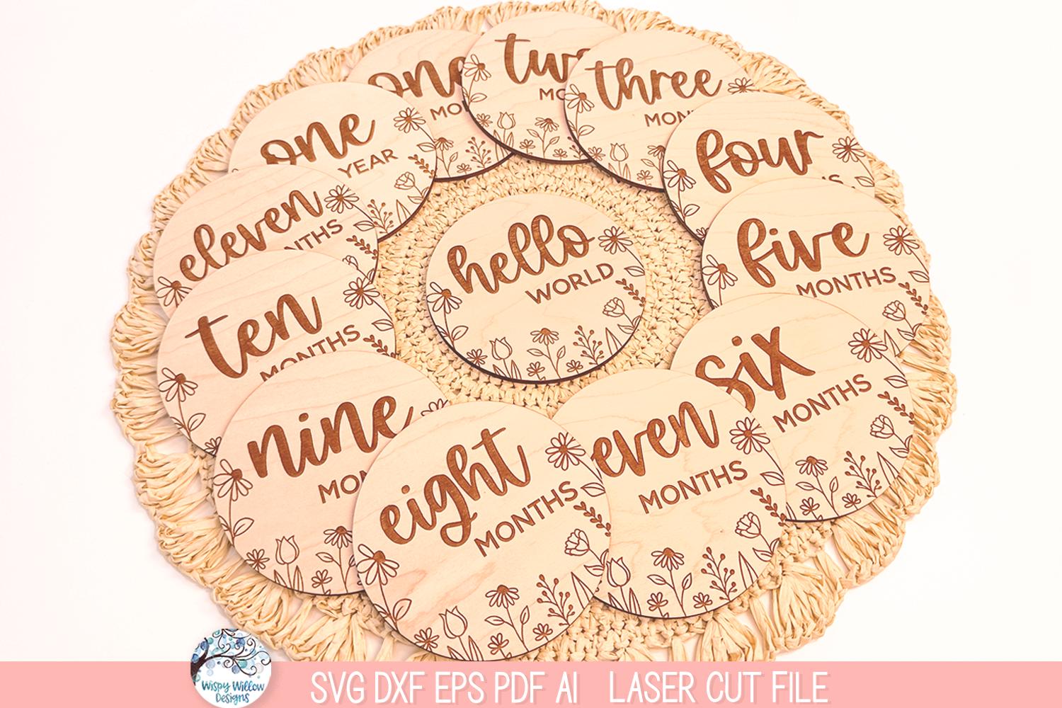 Baby Girl Milestone Disc SVG File Bundle Laser Cutter, Wildflower ...