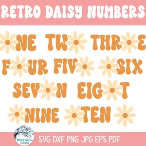 Retro Daisy Number SVG Bundle for Cricut, Baby's First Birthday Party Decor, Retro Daisy Numbers for Birthday Party, Baby Milestone PNG image 3