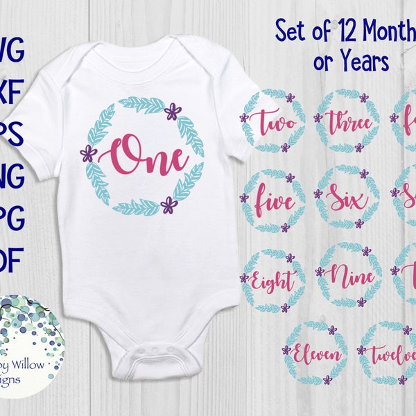 Baby Monthly Milestone Bundle, SVG, DXF, png, jpeg, eps, Infant, Bodysuit, Month, One, Two, Three, Four, Months, Years, Floral Frame, Set