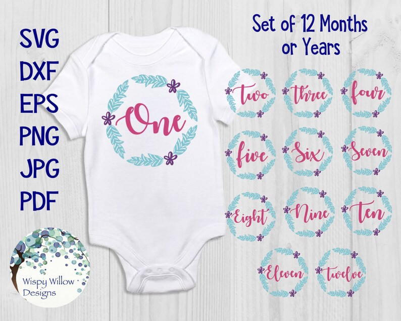 Free Free 60 Baby Monthly Milestone Svg SVG PNG EPS DXF File