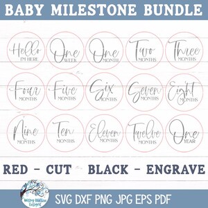 Baby Milestone SVG Bundle for Glowforge or Xtool Laser Cutter, Monthly ...
