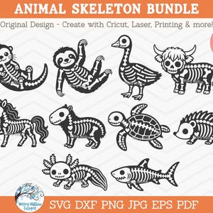 May include: A digital bundle of 10 black and white animal skeleton illustrations including an otter, sloth, goose, highland cow, unicorn, capybara, turtle, hedgehog, axolotl, and shark. Text reads ANIMAL SKELETON BUNDLE, 10 POPULAR ANIMALS, and file formats.