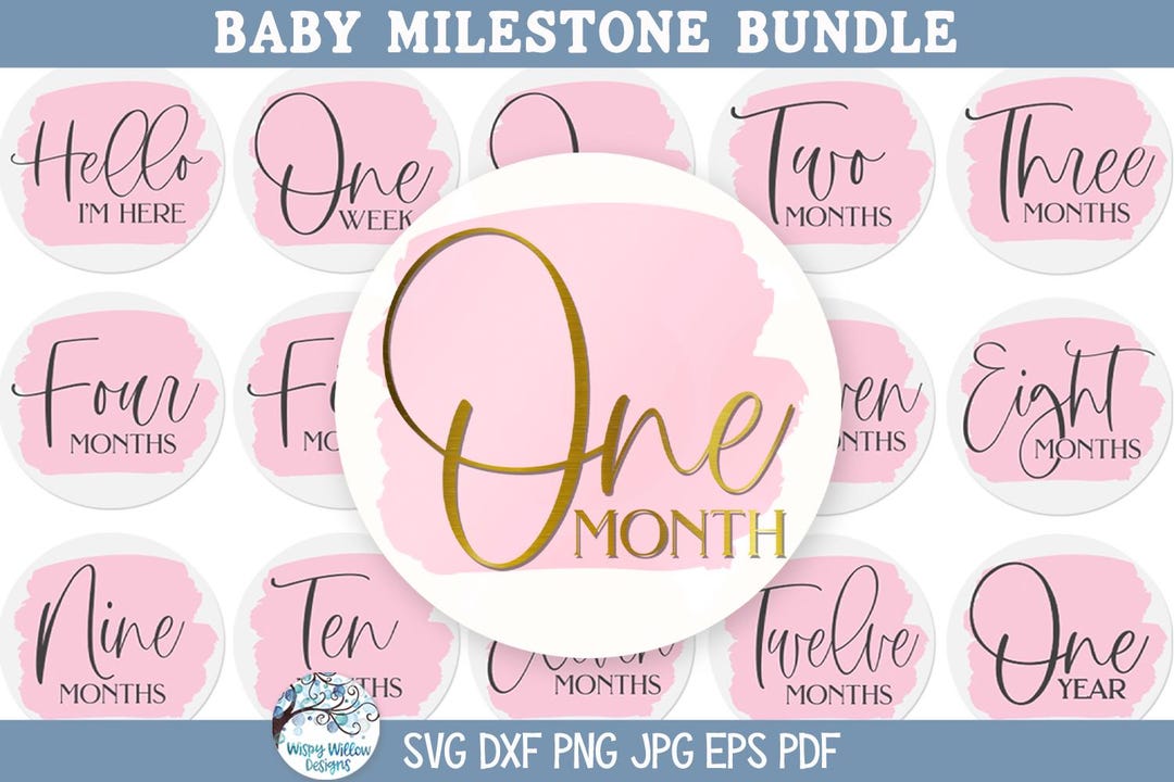 Baby Milestone SVG Bundle for Cricut, New Baby Monthly Round Circle ...