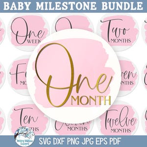 Lot de bébé jalon SVG pour Cricut, disque rond mensuel nouveau bébé, cadeau de baby shower, nouveau-né, une semaine, un mois, un an PNG JPG