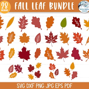 Paquete SVG de hoja de otoño para Cricut, imágenes prediseñadas de hojas de otoño PNG, silueta de hoja de arce, decoración de otoño, Acción de Gracias, archivos de calcomanías de vinilo de Halloween