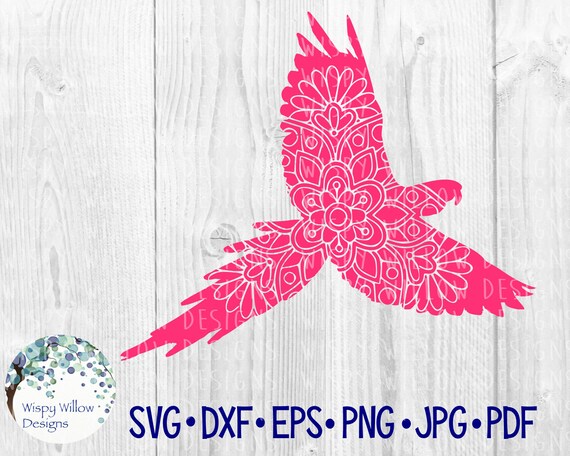 Download Parrot Mandala Svg Dxf Bird Svg Intricate Png Parrot Svg Etsy