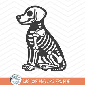 Dog Skeleton SVG for Cricut, Pet Animal Skeleton Bones Clipart JPG, Fall Halloween Puppy PNG, Cute Funny Halloween Golden Retriever, Big Dog