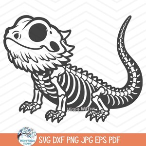 May include: Black and white line art illustration of a bearded dragon skeleton. The dragon is in a sitting position with its tail curled around its body. The illustration is in a cartoon style.