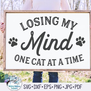 Perdre la tête un chat à la fois, Svg drôle de signe de chat, Svg de chat, Svg d'amant de chat, Svg de chats, chat Cricut Svg, Png, fichier autocollant vinyle pour Cricut