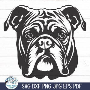 Bulldog SVG, dibujo de perro lindo JPG, silueta de cara de bulldog inglés PNG, archivo de calcomanía de vinilo para Cricut, descarga imprimible de cabeza de perro realista