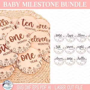 Baby Girl Milestone Disc SVG File Bundle Laser Cutter, Wildflower ...