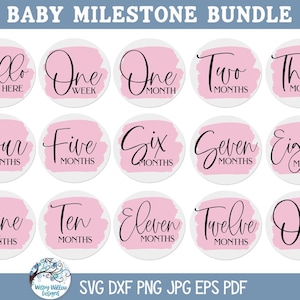 Baby Milestone SVG Bundle for Cricut, New Baby Monthly Round Circle ...