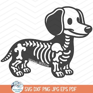 Teckel chien squelette SVG pour Cricut, animal de compagnie squelette Animal OS Clipart JPG, automne Halloween chiot PNG, chien Weiner Halloween drôle mignon