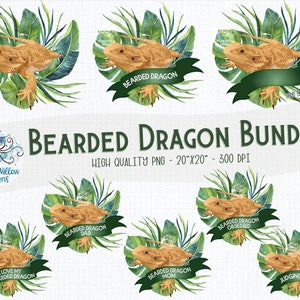 Bearded Dragon PNG Bundle, Sublimation, Reptile Clipart, Lizard, Bearded Dragon Shirt Design, Bearded Dragon Obsessed, Bearded Dragon Print