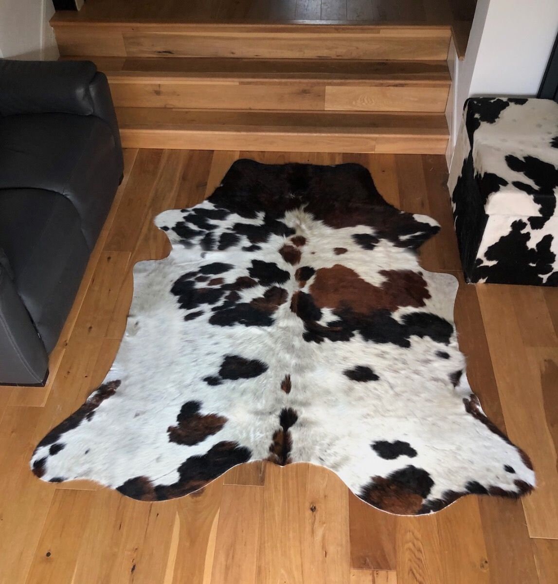 Cowhide Rugs Singapore Bryont Blog