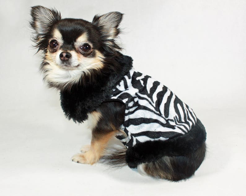 Zebra Dog Coat