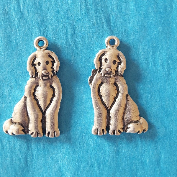 Labradoodle Dog Charms