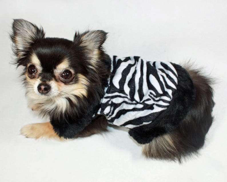 Zebra Dog Coat