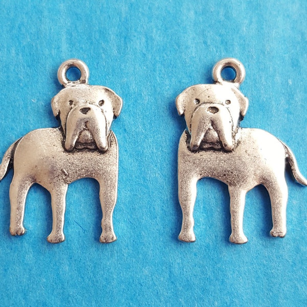 Mastiff Dog Charms