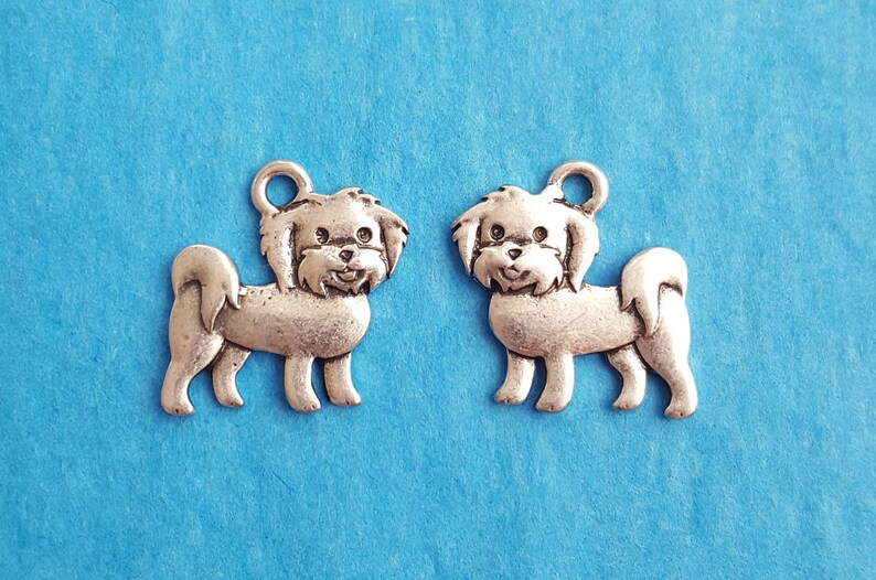 Maltese/ Havanese Dog Charms Etsy