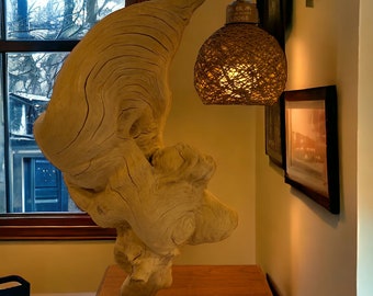 Handcrafted Natural Root Lamp, Olive Wood Designer, Driftwood Table Lamp, Wire Stringed in the Wood